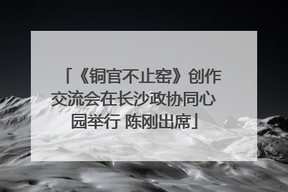 《铜官不止窑》创作交流会在长沙政协同心园举行 陈刚出席