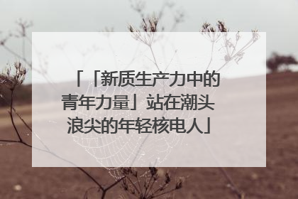 「新质生产力中的青年力量」站在潮头浪尖的年轻核电人