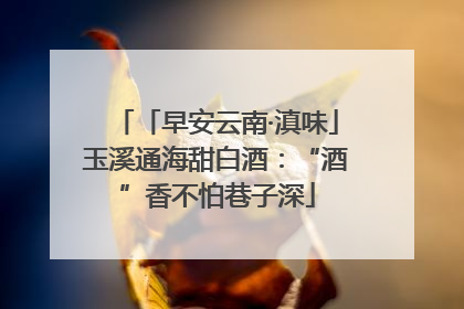 「早安云南·滇味」玉溪通海甜白酒：“酒”香不怕巷子深