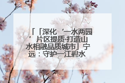 「深化‘一水两园’片区提质·打造山水相融品质城市」宁远：守护一江碧水 共享幸福河湖