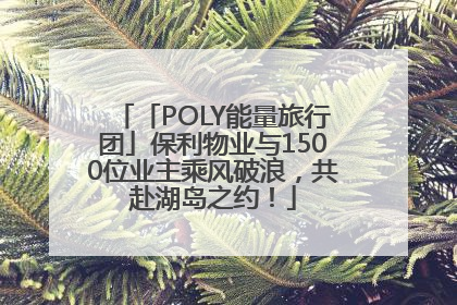 「POLY能量旅行团」保利物业与1500位业主乘风破浪，共赴湖岛之约！