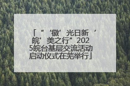 “‘徽’光日新‘皖’美之行”2025皖台基层交流活动启动仪式在芜举行