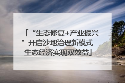 “生态修复+产业振兴”开启沙地治理新模式 生态经济实现双效益