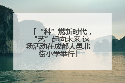 “科”燃新时代，“艺”起向未来 这场活动在成都大邑北街小学举行