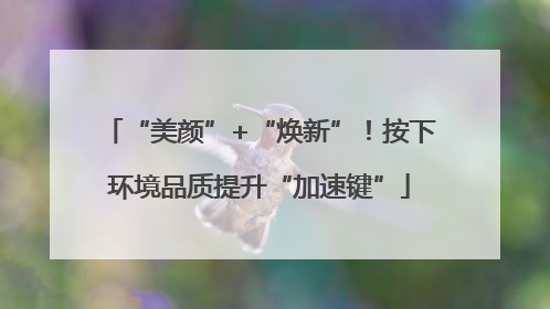 “美颜”+“焕新”！按下环境品质提升“加速键”