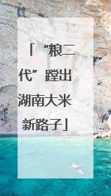 “粮二代”蹚出湖南大米新路子
