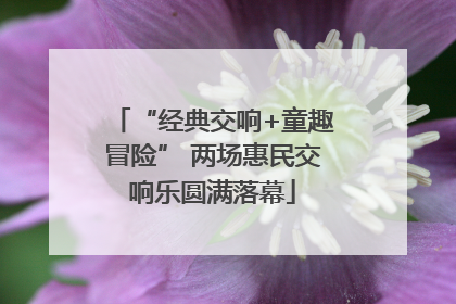 “经典交响+童趣冒险” 两场惠民交响乐圆满落幕