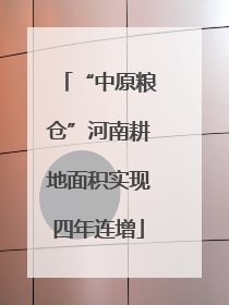 “中原粮仓”河南耕地面积实现四年连增