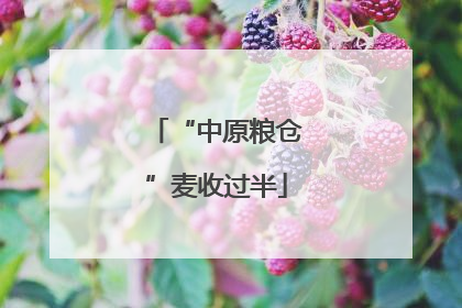 “中原粮仓”麦收过半
