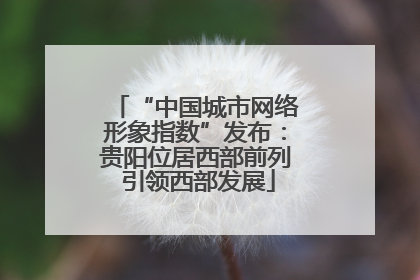 “中国城市网络形象指数”发布：贵阳位居西部前列 引领西部发展