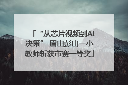 “从芯片视频到AI决策” 眉山彭山一小教师斩获市赛一等奖