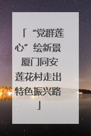 “党群莲心”绘新景 厦门同安莲花村走出特色振兴路