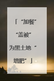 “加餐”“盖被” 为黑土地“增肥”