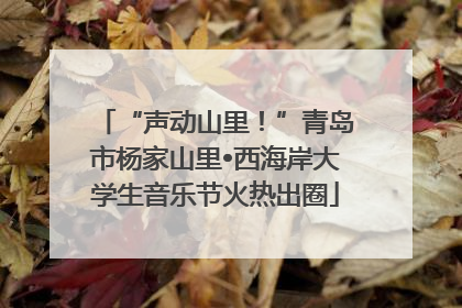 “声动山里！”青岛市杨家山里•西海岸大学生音乐节火热出圈