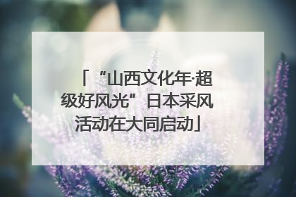 “山西文化年·超级好风光”日本采风活动在大同启动