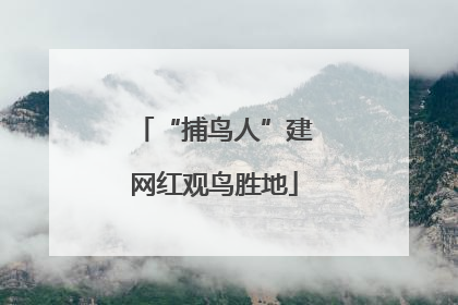 “捕鸟人”建网红观鸟胜地