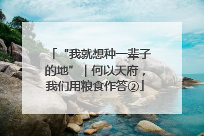 “我就想种一辈子的地”｜何以天府，我们用粮食作答②