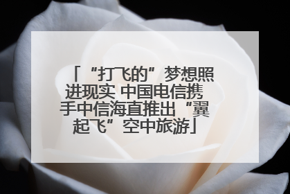 “打飞的”梦想照进现实 中国电信携手中信海直推出“翼起飞”空中旅游