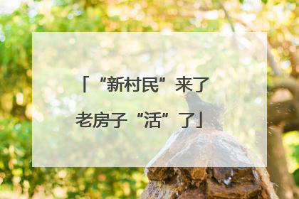 “新村民”来了 老房子“活”了