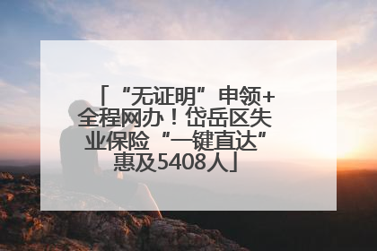 “无证明”申领+全程网办！岱岳区失业保险“一键直达”惠及5408人
