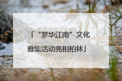 “梦华江南”文化雅集活动亮相柏林