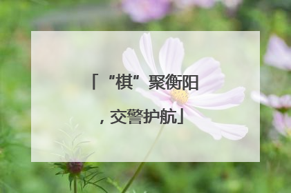 “棋”聚衡阳，交警护航