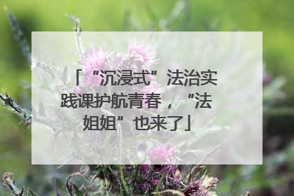 “沉浸式”法治实践课护航青春，“法姐姐”也来了