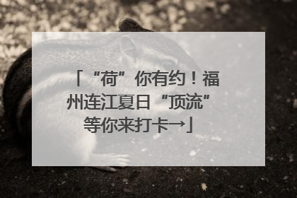 “荷”你有约！福州连江夏日“顶流”等你来打卡→