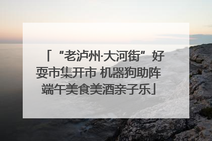 “老泸州·大河街”好耍市集开市 机器狗助阵端午美食美酒亲子乐
