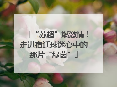 “苏超”燃激情！走进宿迁球迷心中的那片“绿茵”