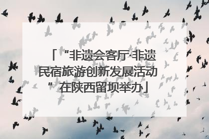 “非遗会客厅·非遗民宿旅游创新发展活动”在陕西留坝举办