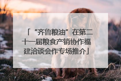 “齐鲁粮油”在第二十一届粮食产销协作福建洽谈会作专场推介
