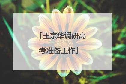 王宗华调研高考准备工作