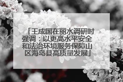 王成国在丽水调研时强调：以更高水平安全和法治环境服务保障山区海岛县高质量发展
