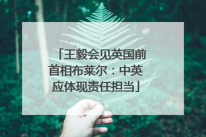 王毅会见英国前首相布莱尔：中英应体现责任担当