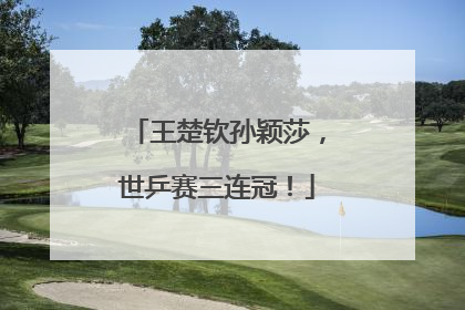 王楚钦孙颖莎，世乒赛三连冠！