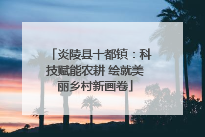 炎陵县十都镇：科技赋能农耕 绘就美丽乡村新画卷