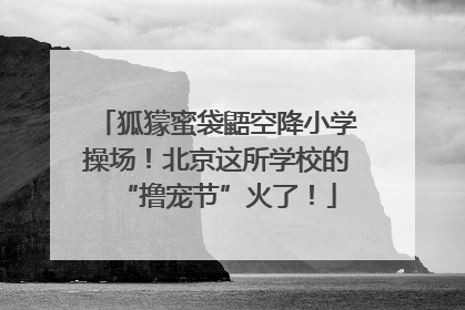 狐獴蜜袋鼯空降小学操场！北京这所学校的“撸宠节”火了！
