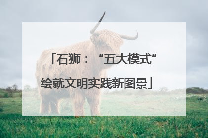 石狮：“五大模式”绘就文明实践新图景