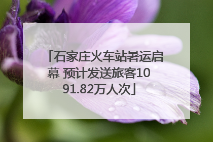 石家庄火车站暑运启幕 预计发送旅客1091.82万人次