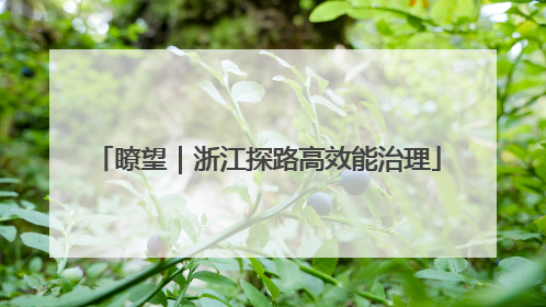 瞭望｜浙江探路高效能治理