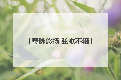 琴脉悠扬 弦歌不辍