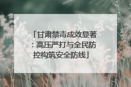 甘肃禁毒成效显著：高压严打与全民防控构筑安全防线