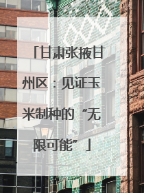 甘肃张掖甘州区：见证玉米制种的“无限可能”