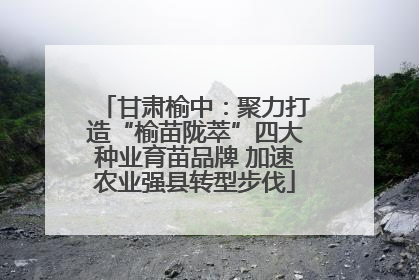 甘肃榆中：聚力打造“榆苗陇萃”四大种业育苗品牌 加速农业强县转型步伐