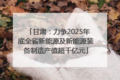 甘肃：力争2025年底全省新能源及新能源装备制造产值超千亿元
