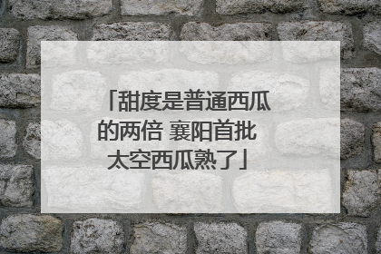 甜度是普通西瓜的两倍 襄阳首批太空西瓜熟了