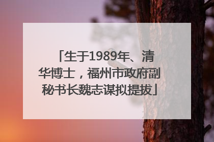 生于1989年、清华博士，福州市政府副秘书长魏志谋拟提拔