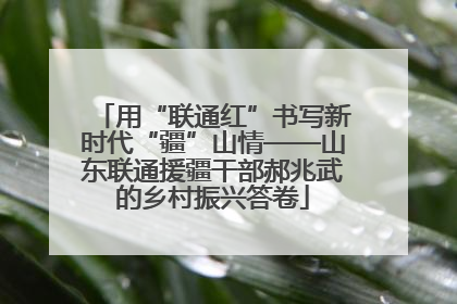 用“联通红”书写新时代“疆”山情——山东联通援疆干部郝兆武的乡村振兴答卷