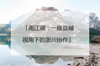 甬江潮：一座县域视角下的浙川协作
